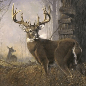 David Textiles Impending Challenge Buck Deer Forest AL-3718-9C