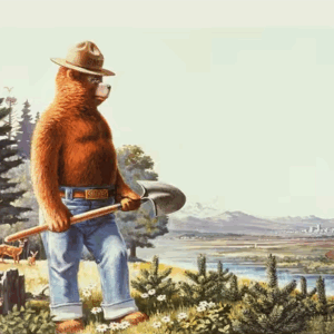 Riley Blake Friends of Smokey Bear PD16507 Panel