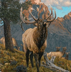 Riley Blake Majestic in Nature Panel PD15980