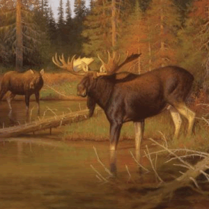 Riley Blake Majestic in Nature Panel PD15982