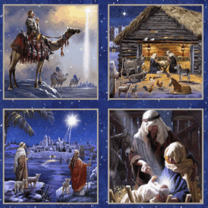 3 Wishes Fabric Let us Adore Him 23823-PNL-CTN-D