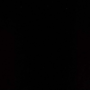 Riley Blake Hand Dyes Expressions BT21000-119 Black Ink