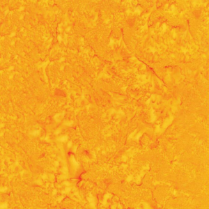 Riley Blake Hand Dyes Expressions BT21000-256 Butterschotch