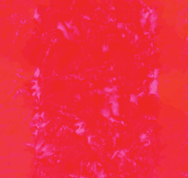 Riley Blake Hand Dyes Expressions BT21000-211 CHERRY