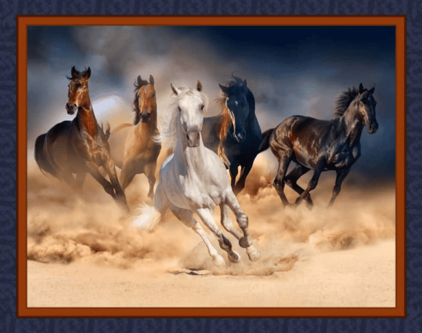 MDG Wild Horses